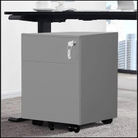 Latitude Run® 2 Drawer Mobile File Cabinet with Lock Metal Filing Cabinet for Legal/Letter/A4/F4 Size