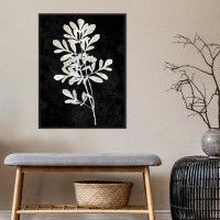 Wildon Home® Plant Life White On Black II By Danielle Carson Framed Canvas Wall Art Print