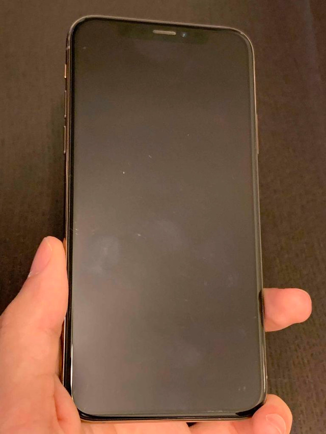 iPhone XS 64 GB Unlocked -- No more meetups with unreliable strangers! in Cell Phones in Brantford - Image 3