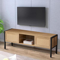 Bay Isle Home™ Rattan TV Stand with Variable Colour Light Strip and Sliding Doors for Living Room