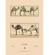 Buyenlarge A Variety of Howdahs from Syria by Auguste Racinet Vintage Advertisement