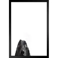 Latitude Run® Cute Black Dog Peeking Funny Photo Puppy Posters For Wall Funny Dog Wall Art Dog Wall Decor Puppy Posters