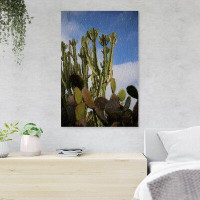 Foundry Select Low-Angle Photography Of Green Cactus Plant Under Blue Sky - 1 Piece Rectangle Graphic Art Print On Wrapp