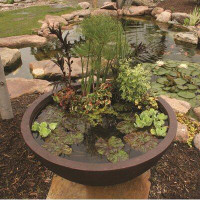 Ebern Designs Precilla Aquatic Patio Pond Pot Planter