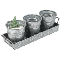 August Grove 3-Pot Metal Indoor Pot Planter W/ Tray
