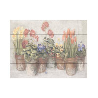 Trademark Fine Art Carol Rowan 'Spring in the Greenhouse Neutral' Wood Slat Art