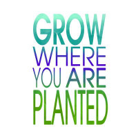 Trinx Where You Are Planted