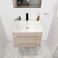 Ebern Designs 24" Bathroom Vanity With Sink, Floating Bathroom Vanity With Soft Close Drawer