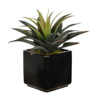 Orren Ellis 6" Artificial Aloe Succulent in Pot