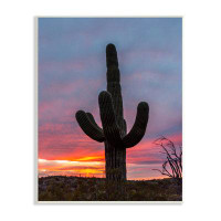 Stupell Industries Desert Cactus Plant Silhouette Radiant Sunset Sky Wall Plaque Art By Jeff Poe Photography