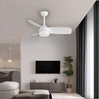 Ivy Bronx 42 Inch Indoor Abs Ceiling Fan