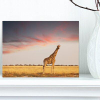 Design Art Single Giraffe in Savannah - Wrapped Canvas Photograph Print