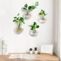 Ebern Designs Wall Glass Hanging Planter Set of 4