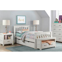 Greyleigh™ Baby & Kids Mateo Twin Platform Bed with Trundle