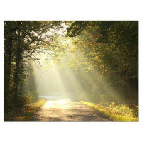 Design Art 'Bright Sunbeams to Fall Forest' Photographic Print on Wrapped Canvas