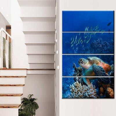 Made in Canada - Design Art 'Large Sea Turtle underwater' 4 Piece Photographic Print on Wrapped Canvas Set in Arts & Collectibles