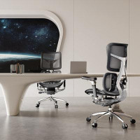 Inbox Zero Ergonomic Office Chair - Dual-layer Dynamic Lumbar Support