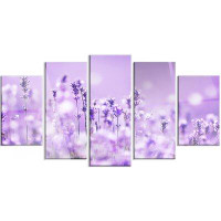 Made in Canada - Design Art 'Stunning Purple Lavender Field' 5 Piece Photographic Print on Metal Set