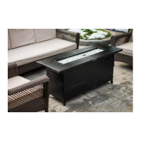 Latitude Run® Conesville 24.08" H x 56.78" W Stainless Steel Propane Outdoor Fire Pit Table with Lid