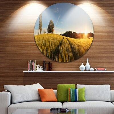 Design Art 'Sunset Over Wheat Field in Slovakia' Photographic Print on Metal in Arts & Collectibles