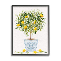 Stupell Industries Lemon Tree Detailed Planter Framed Giclee Art by Ziwei Li