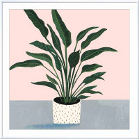 Beachcrest Home Houseplant IV by Victoria Borges - Picture Frame Painting