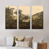 Millwood Pines Nature Of South America Old Image VIII - Traditional Framed Canvas Wall Art Set Of 3