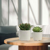 Latitude Run® Keelea 2-Piece Ceramic Pot Planter Set
