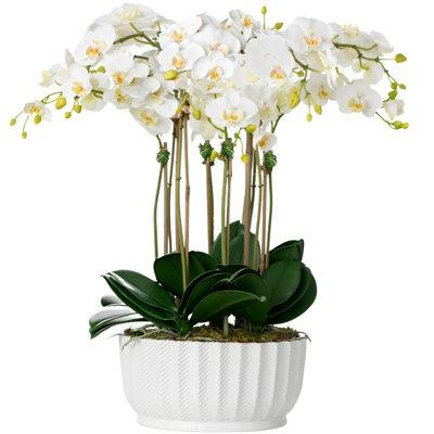 Vivian Rose Orchid Floral Arrangements in Planter in Plants, Fertilizer & Soil