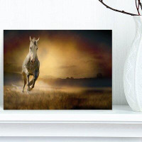 Design Art 'Horse Galloping Through Valley' Photographic Print on Wrapped Canvas