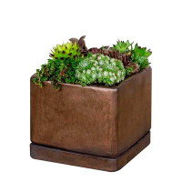 World Menagerie I/O Series 6-Piece Terracotta Pot Planter Set