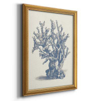 Highland Dunes Antique Coral Collection V Premium Framed Canvas- Ready To Hang