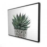 Begin Edition International Inc. Zebra plant succulent - 36"x48" Framed canvas