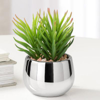 Primrue Mini Faux Spike Plant Succulent in Chrome Silver Ceramic Pot