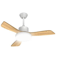 Ivy Bronx 42" Reversible LED Ceiling Fan 3 Colour Temperatures light 6 Speeds Fan with Remote
