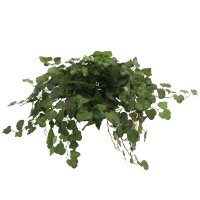 Distinctive Designs Topper with Silk Swedish Ivy Hanging Plant in Planter