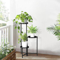 Arlmont & Co. Shirlina Plant Stand