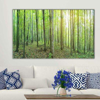 Made in Canada - Millwood Pines 'Forest Green' Photographic Print on Wrapped Canvas