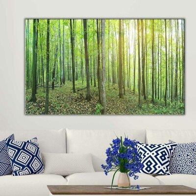 Made in Canada - Millwood Pines 'Forest Green' Photographic Print on Wrapped Canvas in Arts & Collectibles