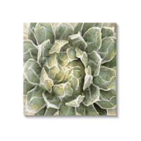 Stupell Industries Stupell Industries Green Botanical Plant Leaves Canvas Wall Art By Lindsay Benson