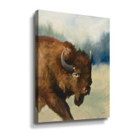 Foundry Select Spirit Of The West III Gallery Wrapped Floater-Framed Canvas