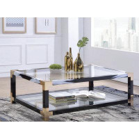 Mercer41 Zissy Coffee Table in Brushed & Clear Glass