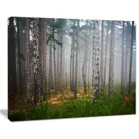 Made in Canada - Design Art Dense Misty Forest - Wrapped Canvas Photographic Print
