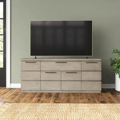 Birch Lane™ Adara TV Stand for TVs up to 78"