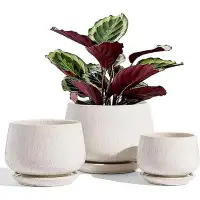 Latitude Run® Thereasa 3 - Piece Ceramic Pot Planter Set