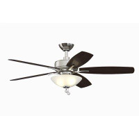 Fanimation 52" Aire Deluxe 5 - Blade Standard Ceiling Fan with Pull Chain and Light Kit Included