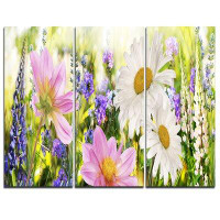 Made in Canada - Design Art Wild Flowers Field at Sunset - 3 Piece Graphic Art on Wrapped Canvas Set