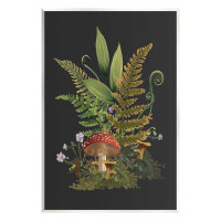 Stupell Industries Ferns Sprouting Woodland Mushroom Plants Giclee Art By House Of Rose