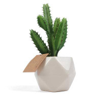 Primrue Primrue - Artificial Cactus Succulent