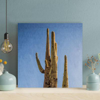 Foundry Select Photo Of Cactus Plant During Daytime - 1 Piece Square Graphic Art Print On Wrapped Canvas